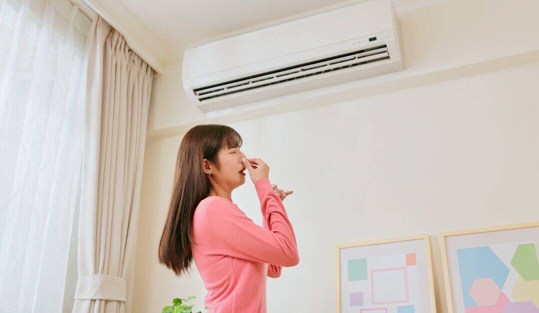 Indoor Air Quality Testing And Whole-House Air Purification For Healthier Homes In Willow Spring And Cary