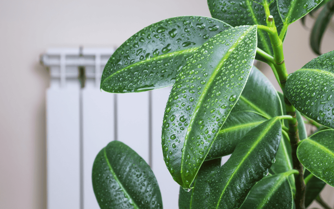 How To Lower Humidity In House Spaces And Stay Comfortable All Summer